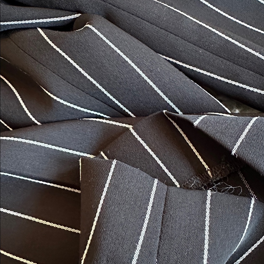 I—Babaton Women's Black and White Pinstripe Pants - Picture 6 of 13